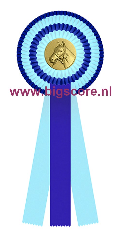 R 04 Multi 4-Ringsrozet Ø 15,5 L: 39,5 cm Blanco met optie Full-Colour logo Ø 50 mm